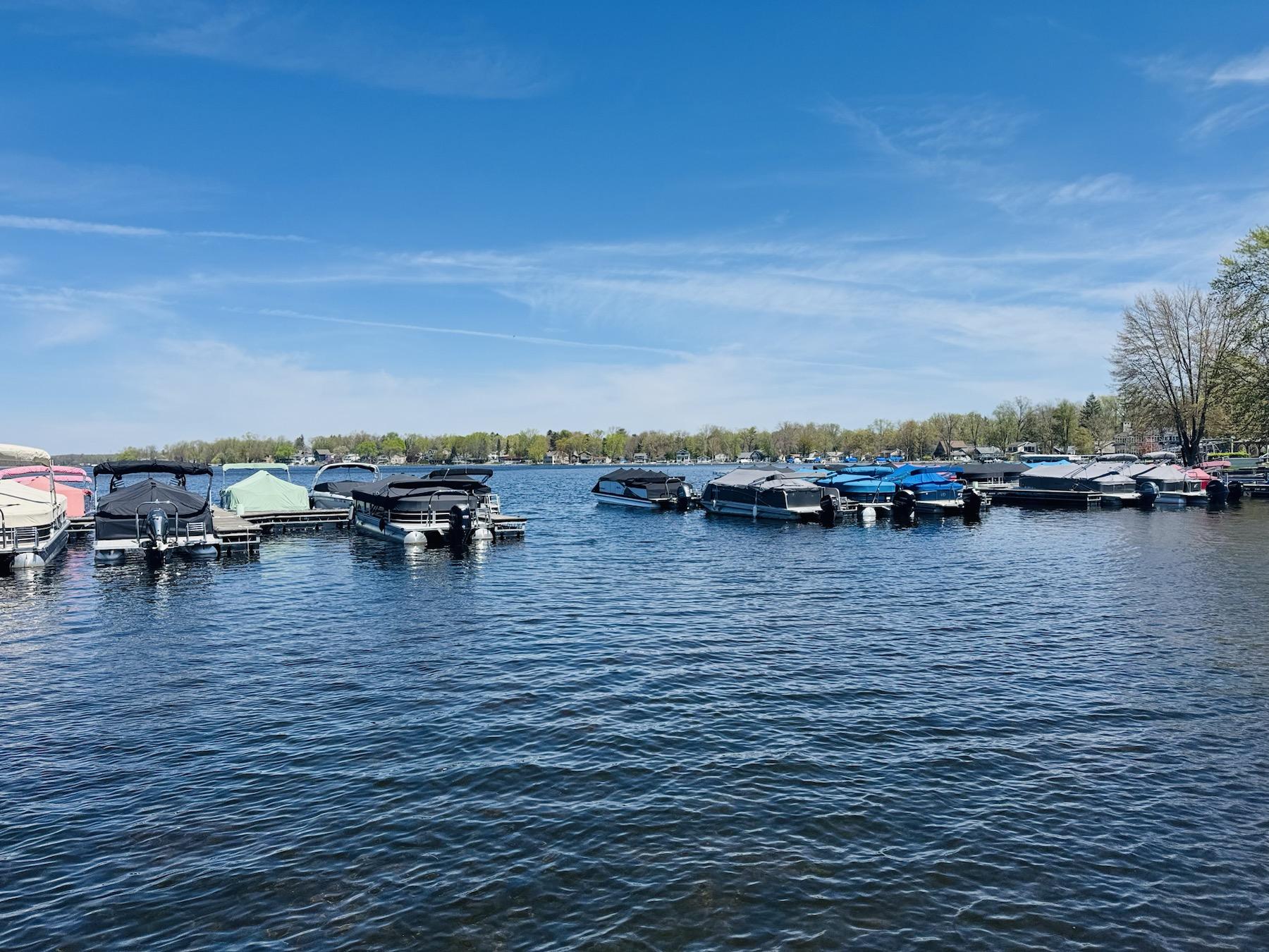 Wonderland Marine West dockside boat inventory in Pinckney